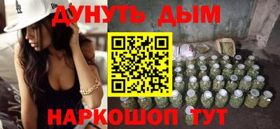 сатива Ставрополь