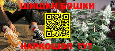 сатива Ставрополь