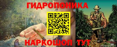 сатива Ставрополь