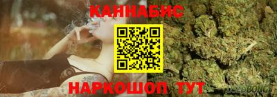 сатива Ставрополь